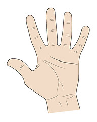 Image showing five fingers of a hand