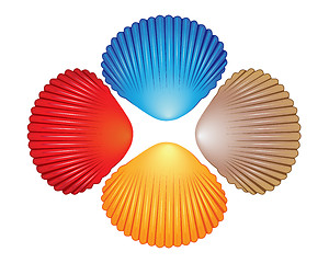 Image showing Four different colored seashells