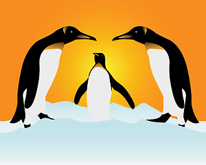 Image showing The penguins