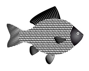 Image showing fish