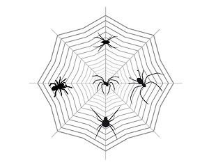 Image showing Spiders on a spider web