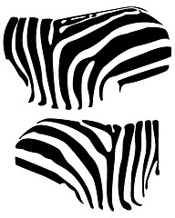 Image showing zebra stripes