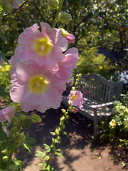 Image showing Peaceful Gardens