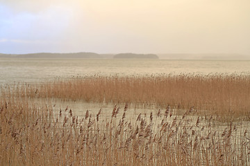 Image showing Fog over Sea in Winter 