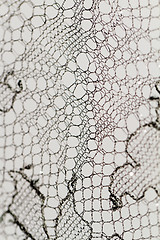 Image showing Special lace