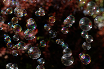 Image showing Soap bubbles