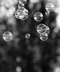 Image showing Soap bubbles