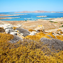 Image showing temple  in delos greece the historycal acropolis and old ruin si