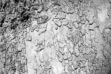 Image showing in england london old bark and abstract wood texture