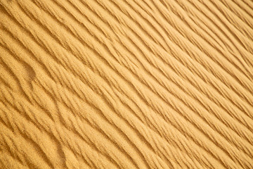 Image showing africa the brown sand  in   sahara morocco desert