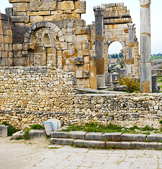 Image showing volubilis in morocco africa the old roman deteriorated monument 