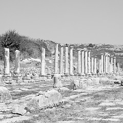 Image showing  in  perge old construction asia turkey the column  and the roma