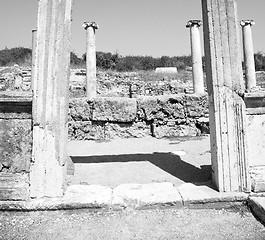 Image showing  in  perge old construction asia turkey the column  and the roma