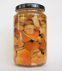 Image showing Porcini mushroom jar