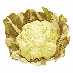 Image showing Retro looking Cauliflower