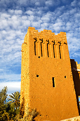 Image showing africa  in histoycal maroc  old plant