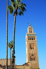 Image showing history in maroc africa  palm