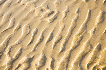 Image showing dune in africa   coastline wet sand near  ocean