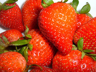 Image showing Strawberries on white