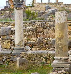 Image showing volubilis in morocco africa the old roman deteriorated monument 