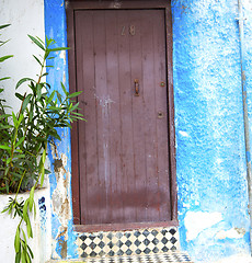 Image showing historical blue  in  antique building door morocco      style af