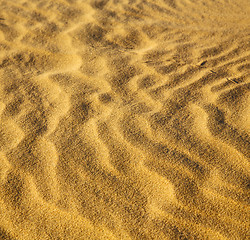 Image showing africa the brown sand dune in   sahara morocco desert line