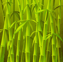 Image showing bamboo trees