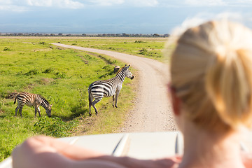 Image showing Woman on african wildlife safari.