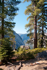 Image showing Hiking in forest