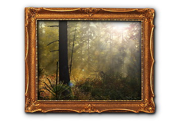 Image showing image of foggy forest