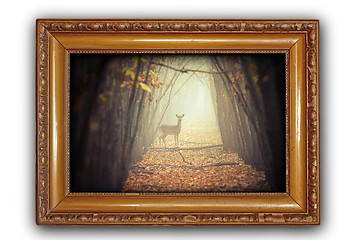 Image showing beautiful image with deer in wooden frame