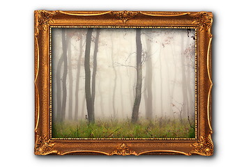 Image showing image of misty forest in painting frame