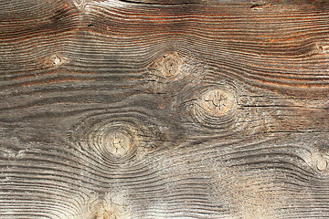 Image showing knots on spruce wooden texture