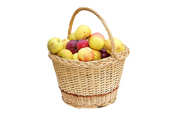Image showing wattle handmade basket with apples