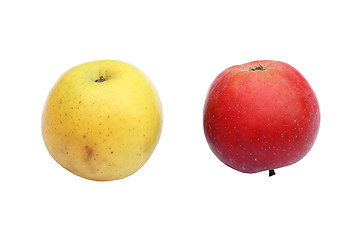 Image showing two apples on white