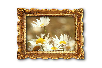 Image showing beautiful daisies in old painting frame