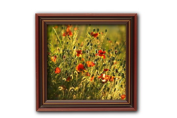 Image showing image with poppies on wood frame