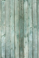 Image showing green fir planks texture