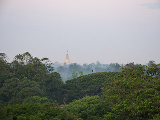 Image showing Pagoda at forest in Sittwe, Myanmar