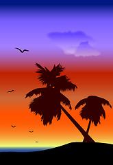 Image showing palmtrees landscape