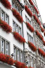 Image showing Building in Neuhauser Str, Munich, Bavaria, Germany