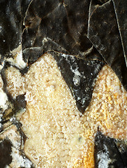 Image showing Grungy cheese surface