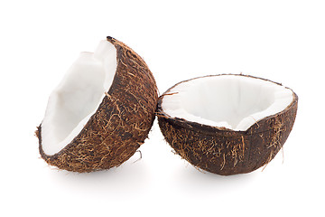 Image showing Coconut