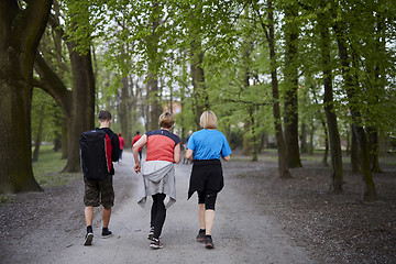 Image showing Hiking team enjoying their trek