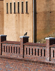 Image showing Crow sitting on ancient walls of enbankment 