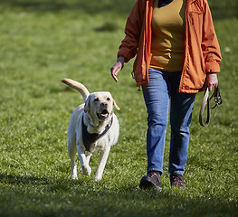 Image showing Woman with dog on meadow