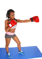 Image showing Boxing woman during exercise.