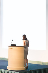 Image showing Business woman making business presentation.