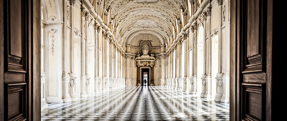 Image showing Italy - Royal Palace: Galleria di Diana, Venaria