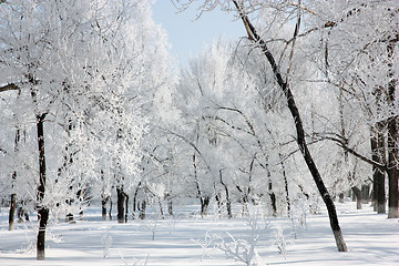 Image showing Winter landscape